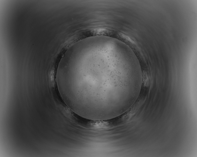 X0000089380670200706151205