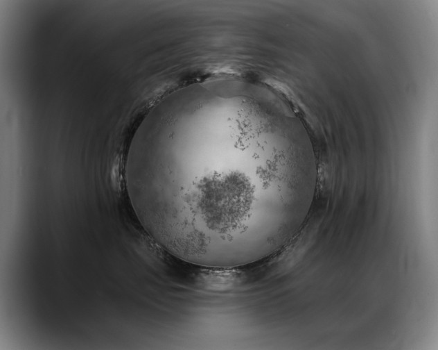 X0000089380671200706151205