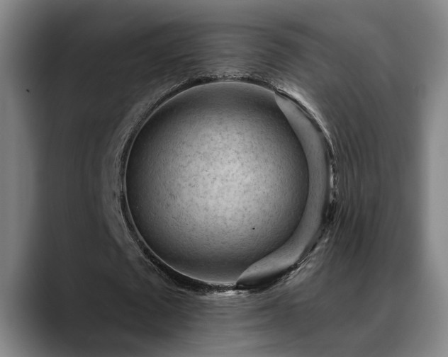 X0000089380673200706151205