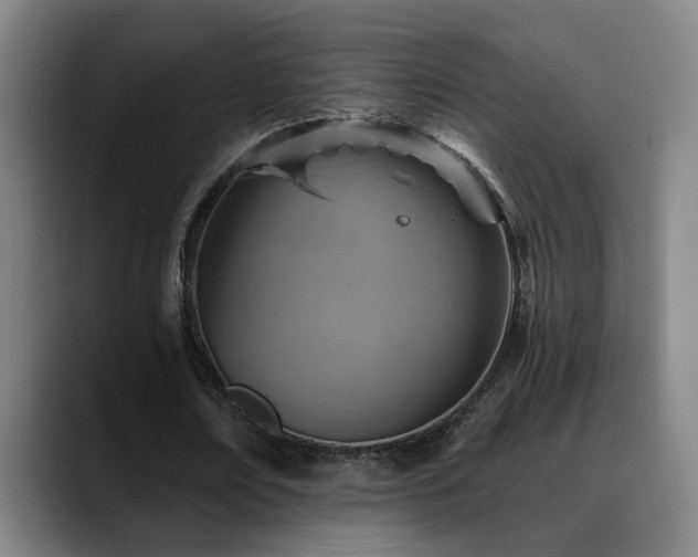 X0000089380674200706151205