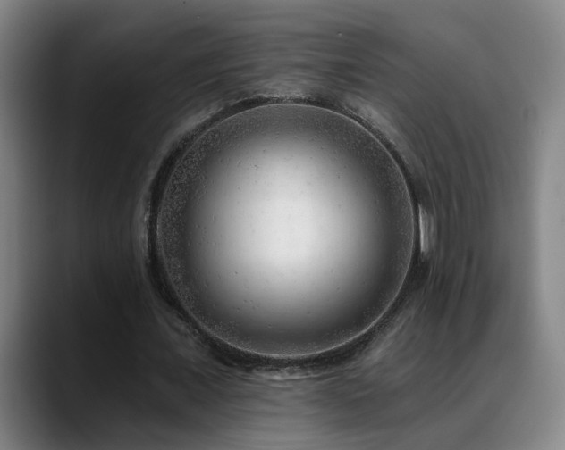 X0000089380675200706151205