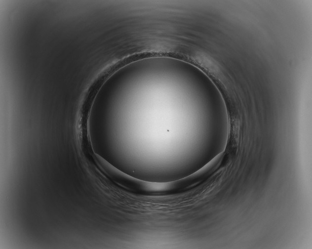 X0000089380676200706151205