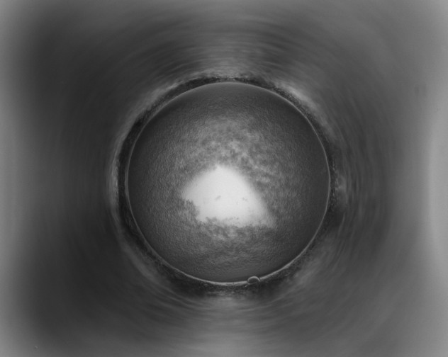 X0000089380678200706151205