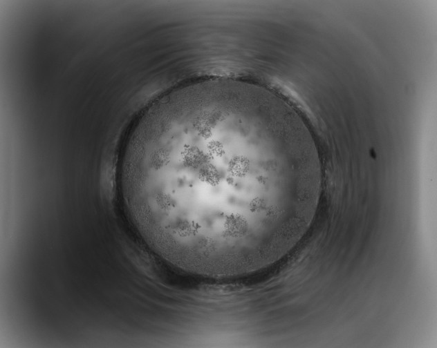 X0000089380679200706151205
