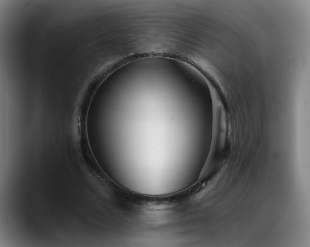 X0000089380680200706151205