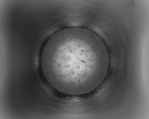 X0000089380683200706151205
