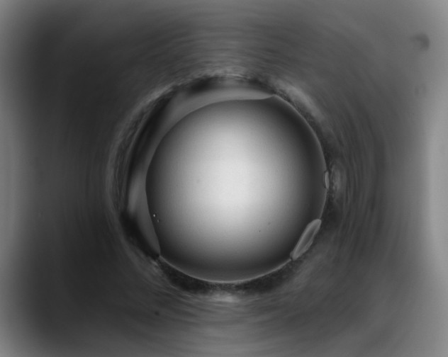 X0000089380684200706151205