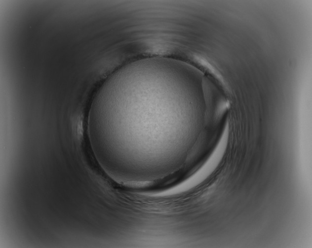 X0000089380685200706151205