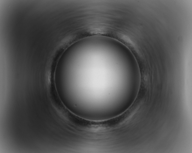 X0000089380686200706151204