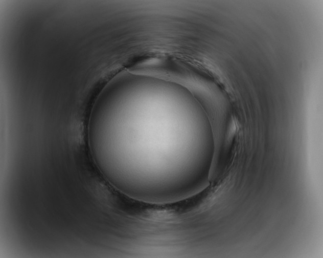 X0000089380689200706151204