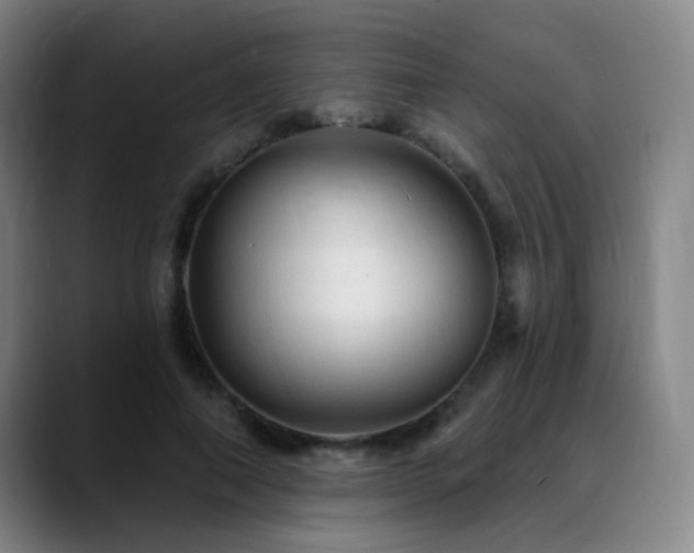 X0000089380690200706151204