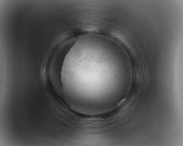 X0000089380692200706151204