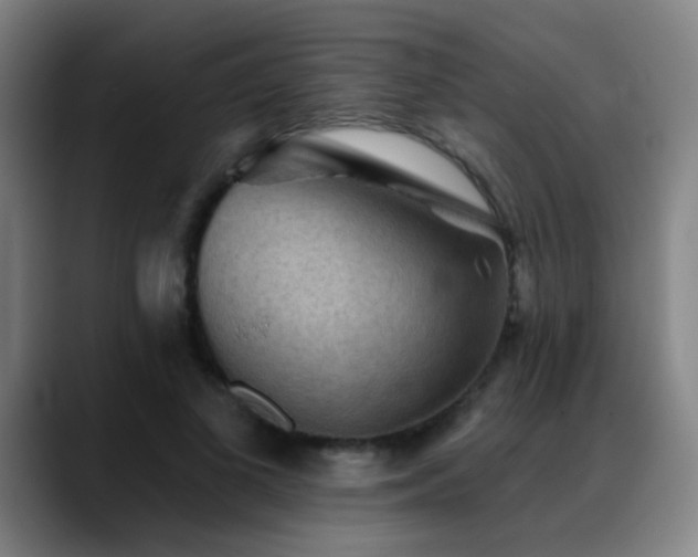 X0000089380693200706151204