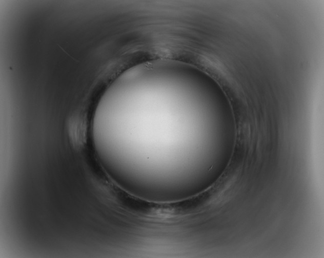 X0000089380694200706151204