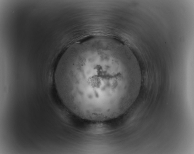 X0000089380695200706151204