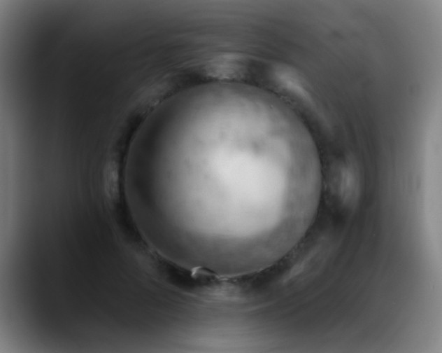 X0000089380696200706151204