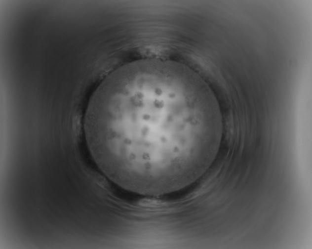 X0000089380699200706151204