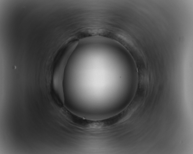 X0000089380700200706151204