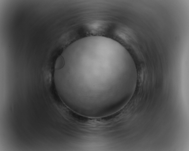 X0000089380703200706151204