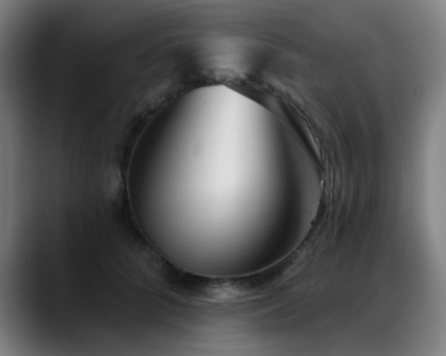 X0000089380704200706151204