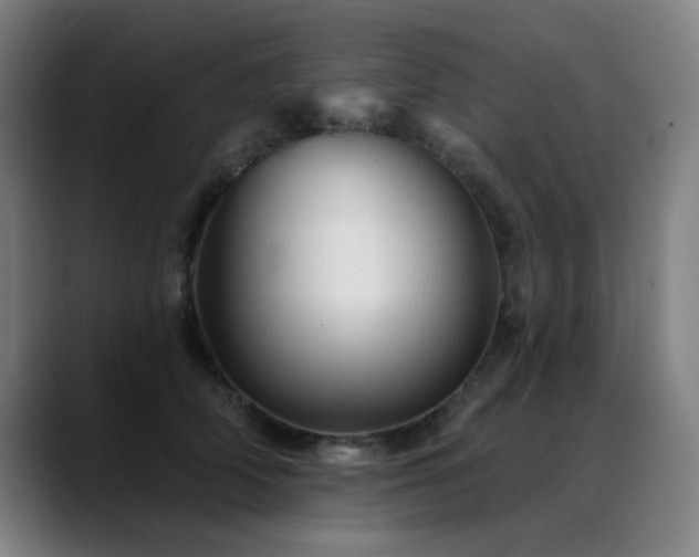 X0000089380706200706151204