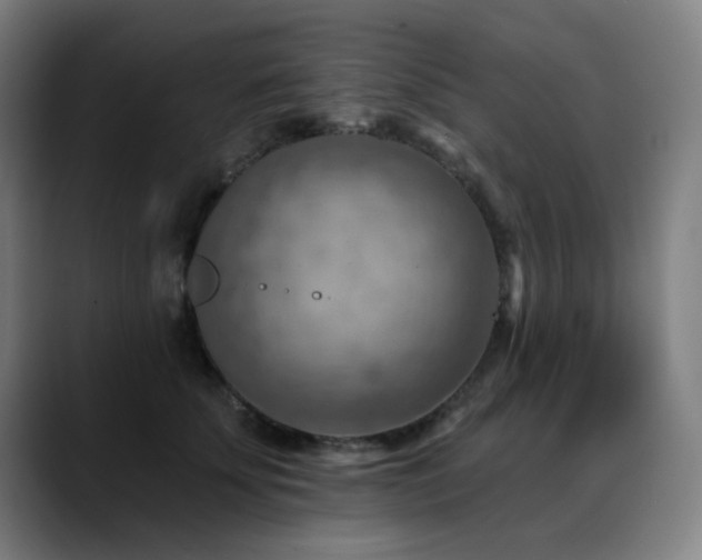 X0000089380707200706151204