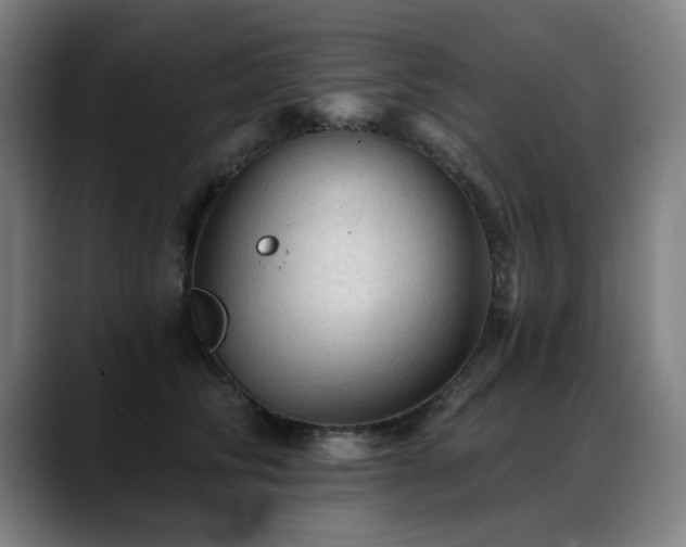X0000089380710200706151204