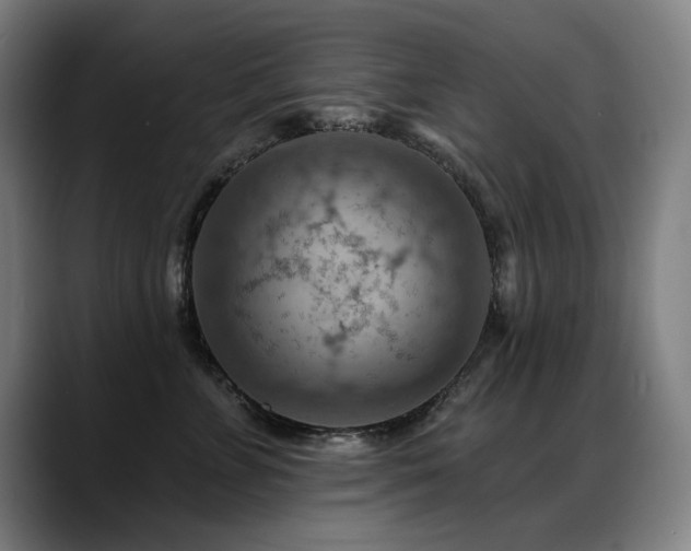 X0000089380715200706151204