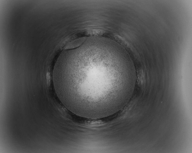 X0000089380716200706151204