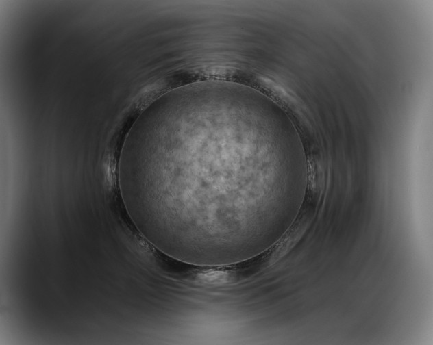 X0000089380718200706151204