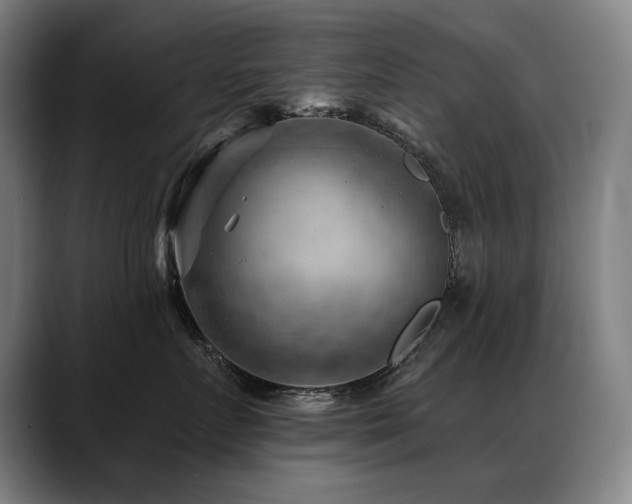 X0000089380719200706151204