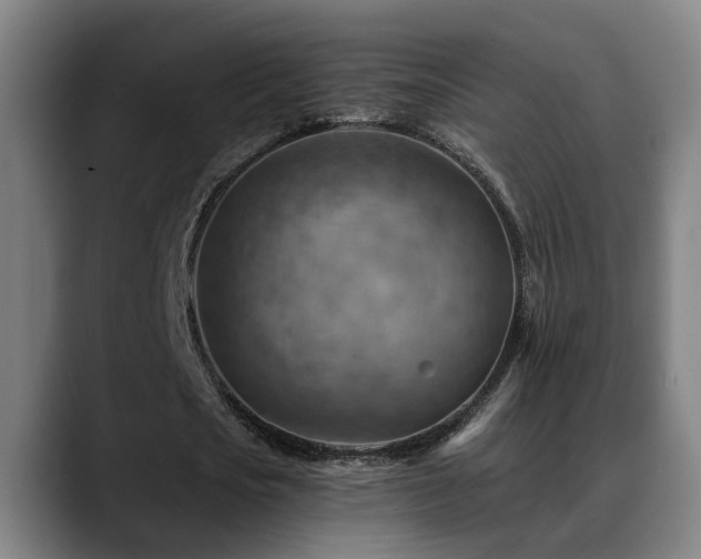 X0000089380721200706151204