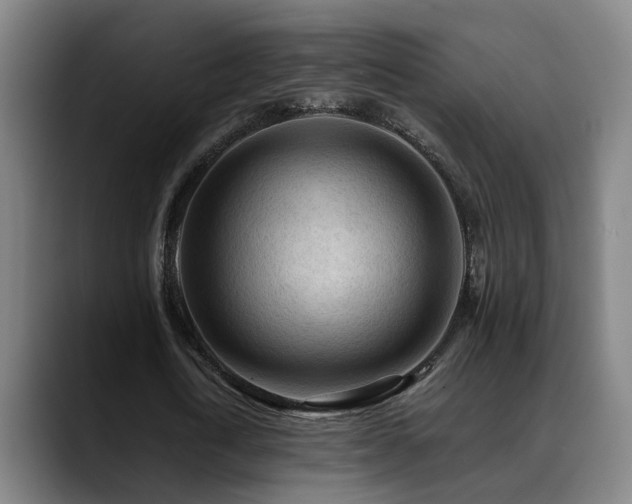 X0000089380722200706151204