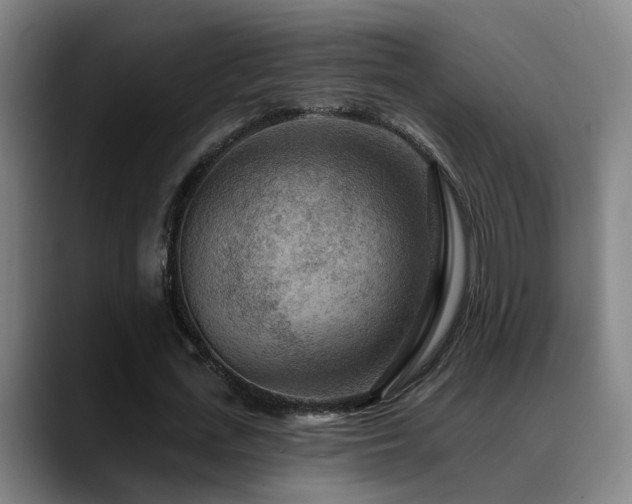 X0000089380723200706151204
