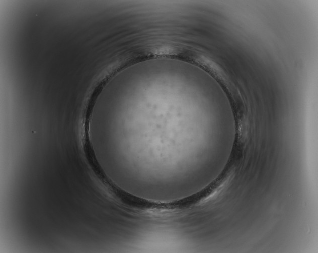 X0000089380725200706151204