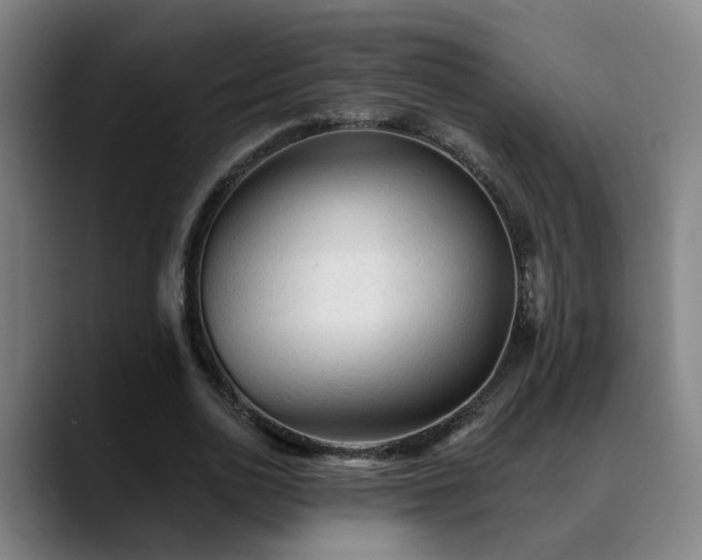 X0000089380726200706151204