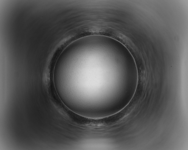 X0000089380727200706151204