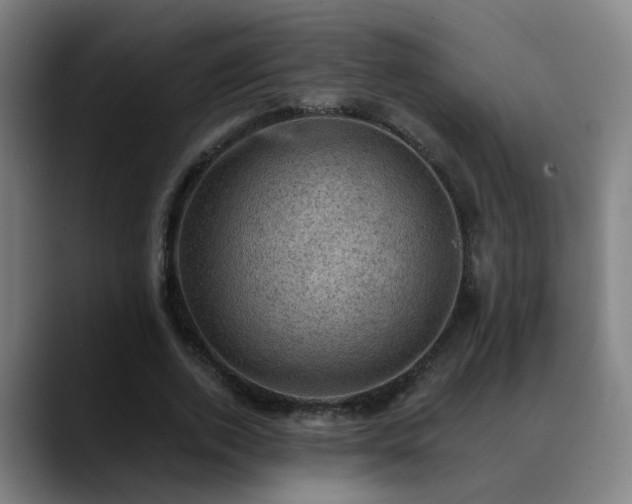 X0000089380728200706151204