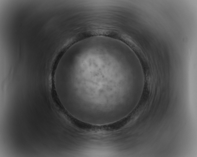 X0000089380729200706151204