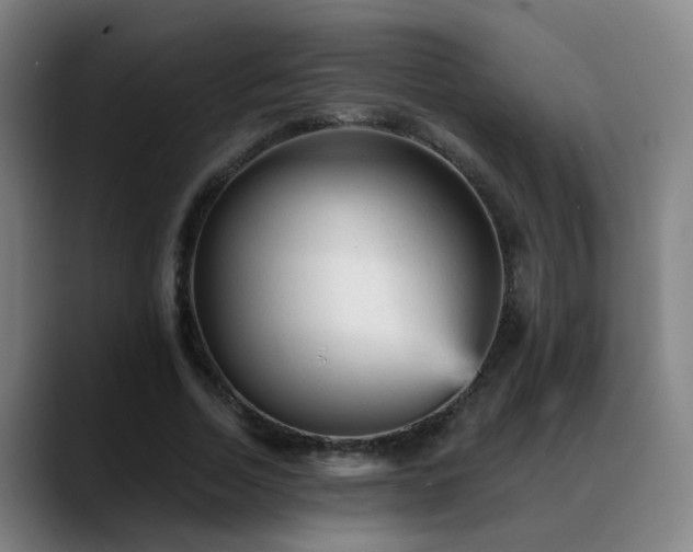 X0000089380730200706151204