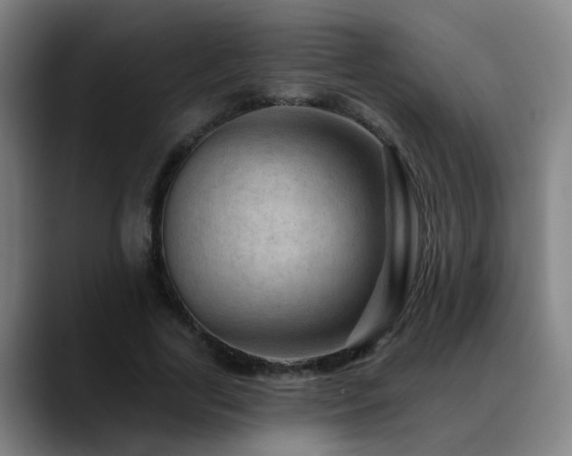 X0000089380731200706151204