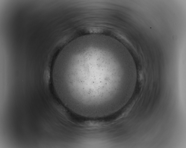 X0000089380733200706151204
