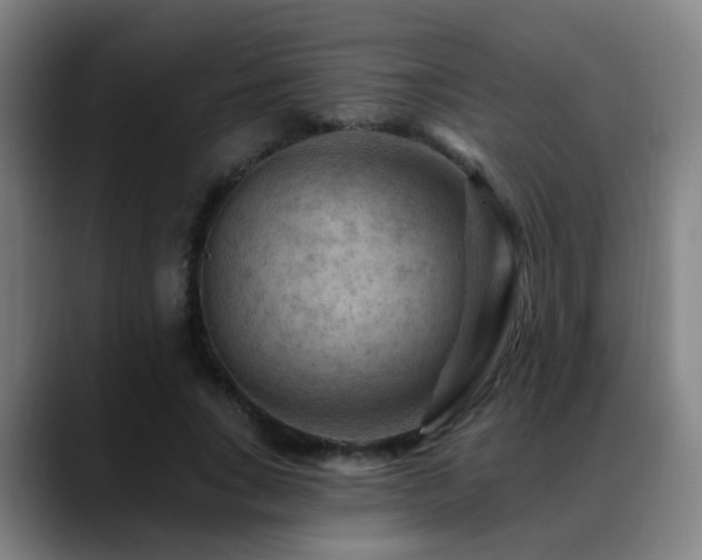 X0000089380735200706151204