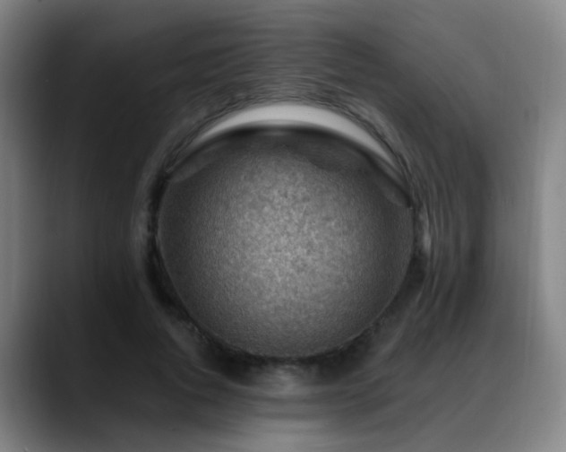 X0000089380736200706151204