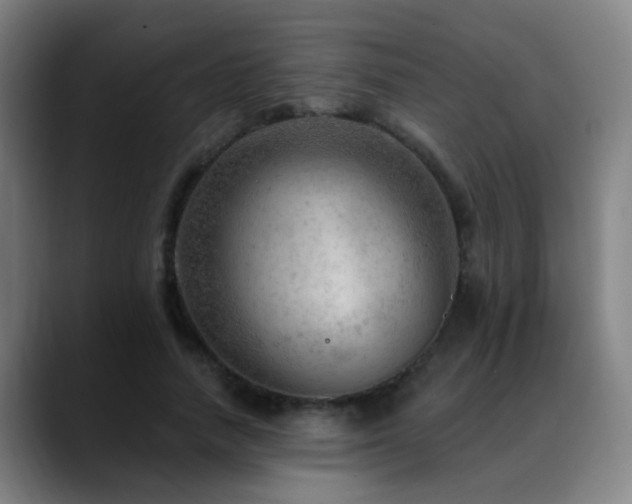 X0000089380738200706151204