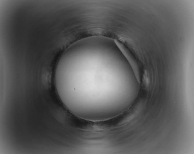 X0000089380739200706151204