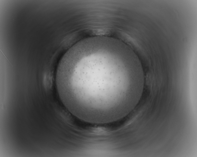 X0000089380741200706151204