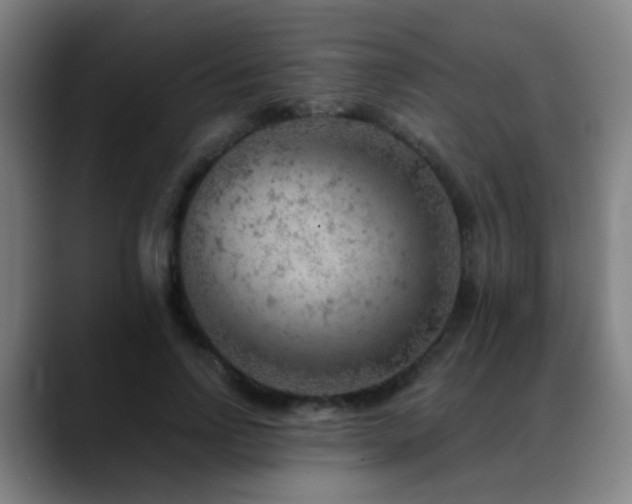 X0000089380742200706151204