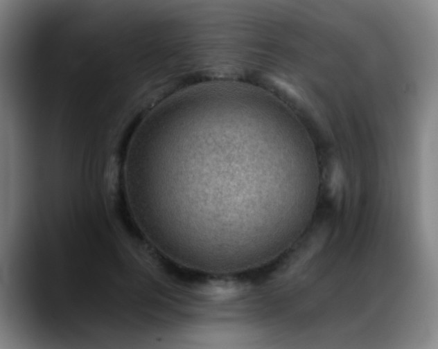 X0000089380744200706151204