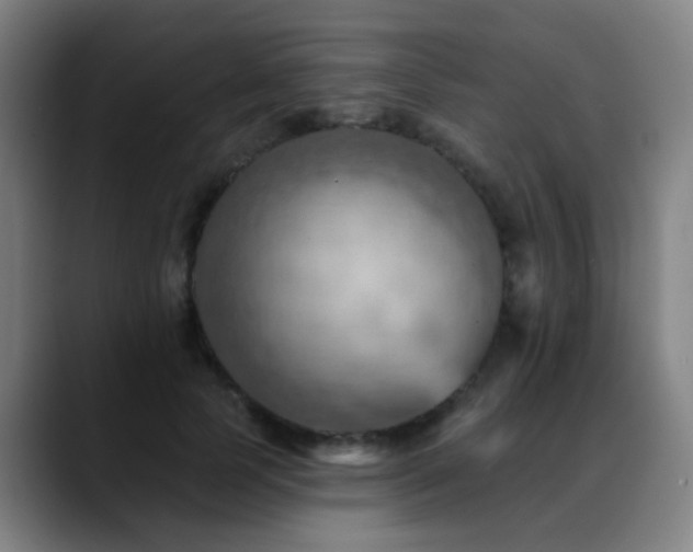X0000089380745200706151204